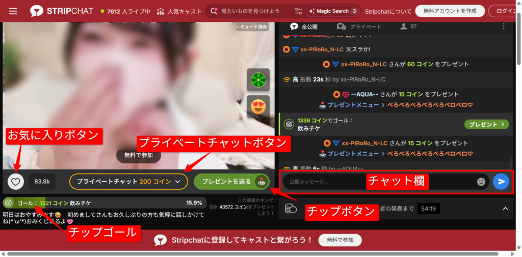 Stripchatのチャットルーム画面（チップボタンやお気に入り機能の配置）